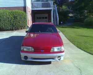mustang4.webp