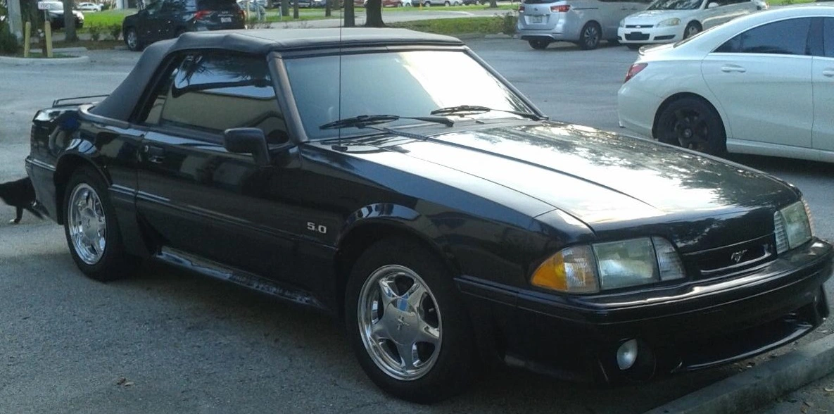 mustang4.webp