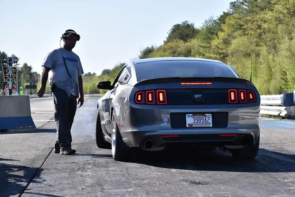 mustang4.webp