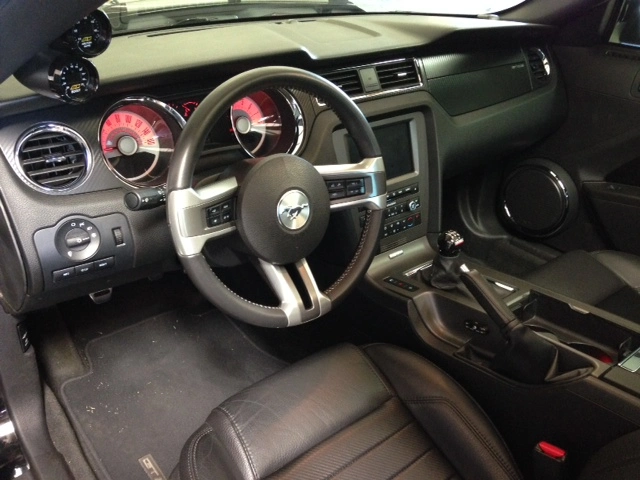 Mustang4.webp