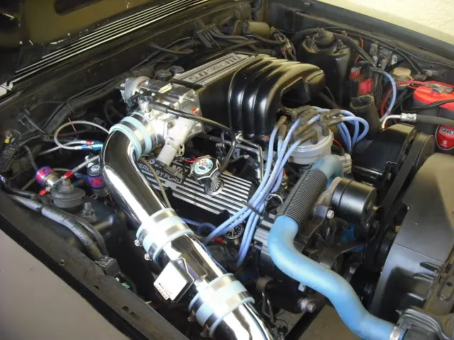 Mustang404.webp