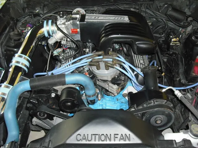 Mustang407.webp