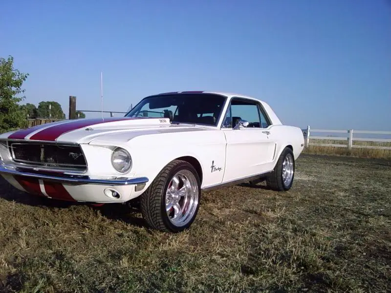 mustang44.webp