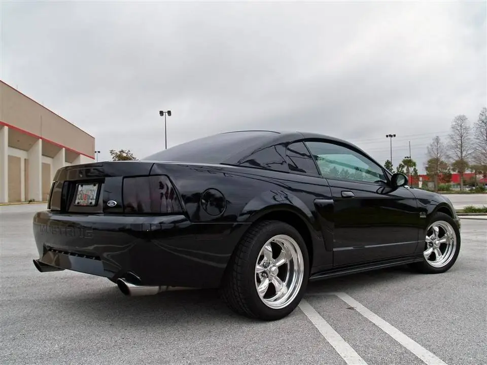 Mustang4Large.webp