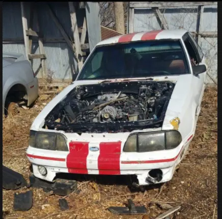 mustang4sale.webp