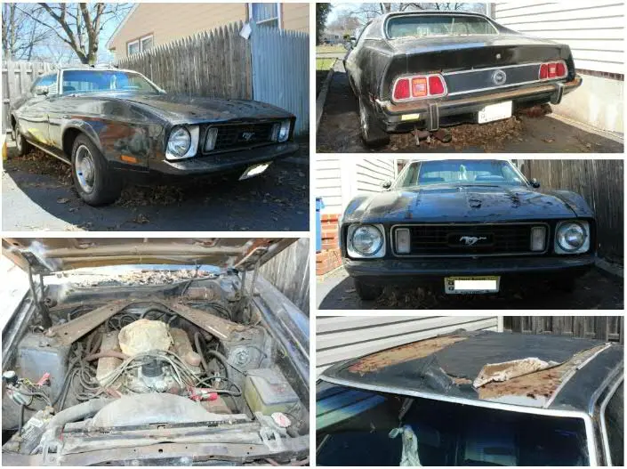 Mustang4sale.webp