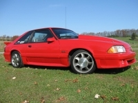 mustang5.th.webp