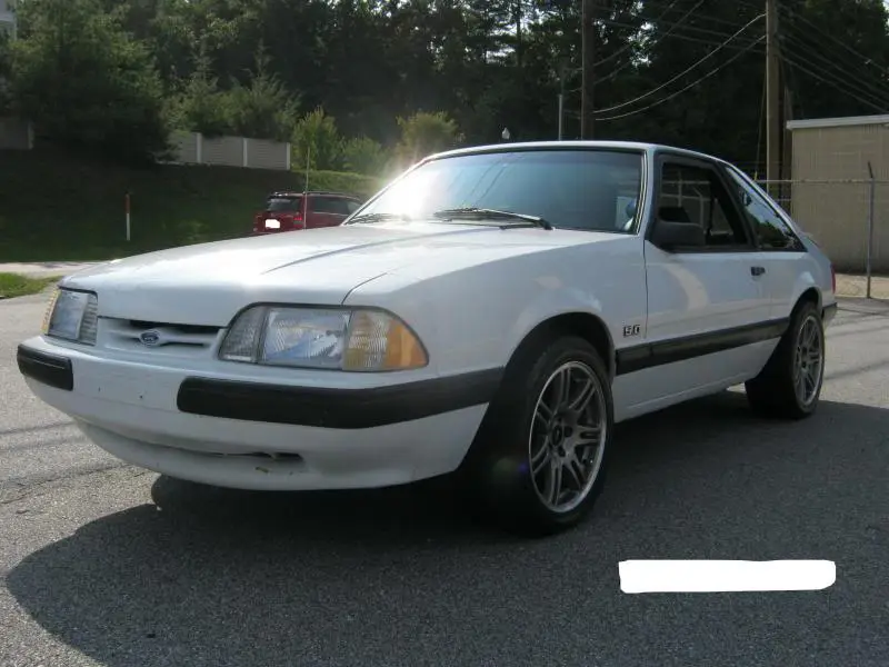Mustang5.webp
