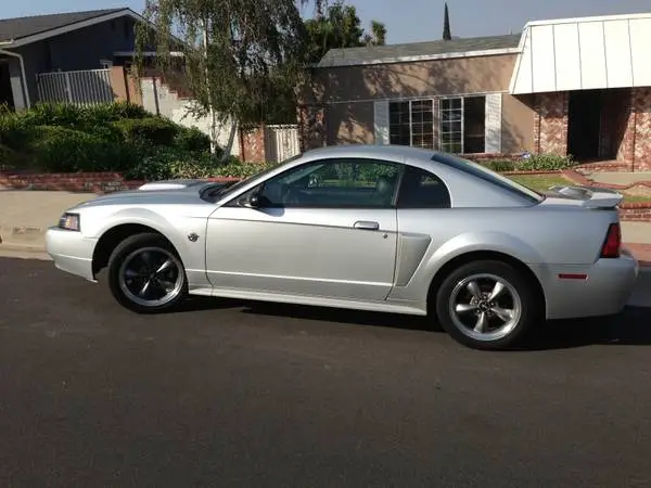 mustang5.webp