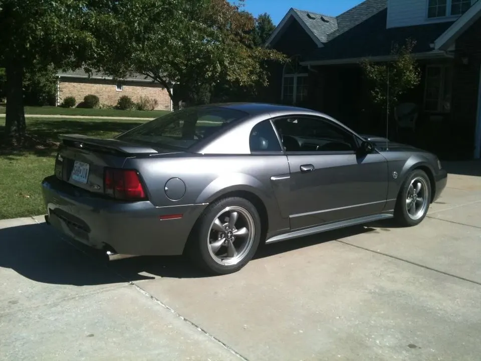 mustang5.webp