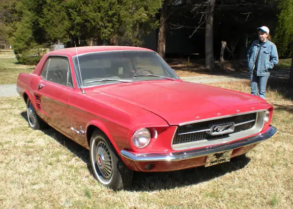 Mustang5.webp