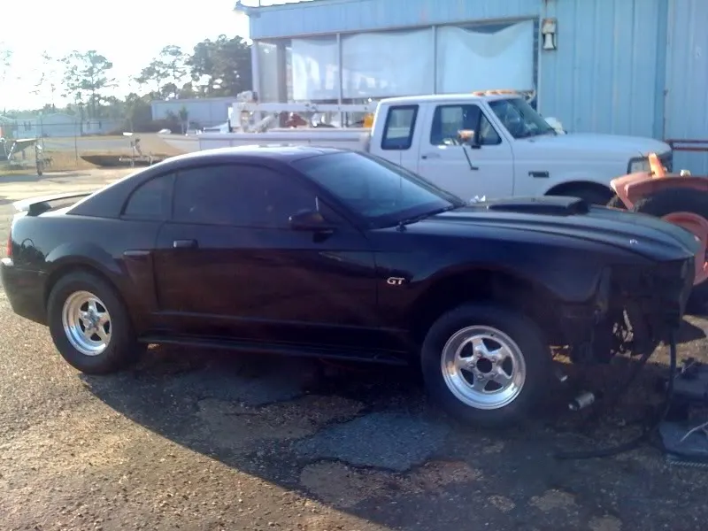 mustang5.webp