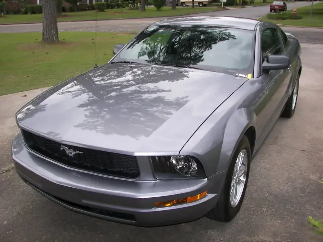 Mustang5.webp