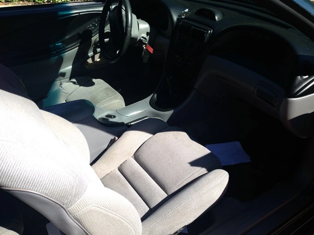 mustang5.webp