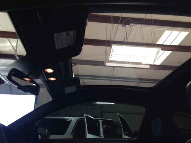 Mustang5.webp