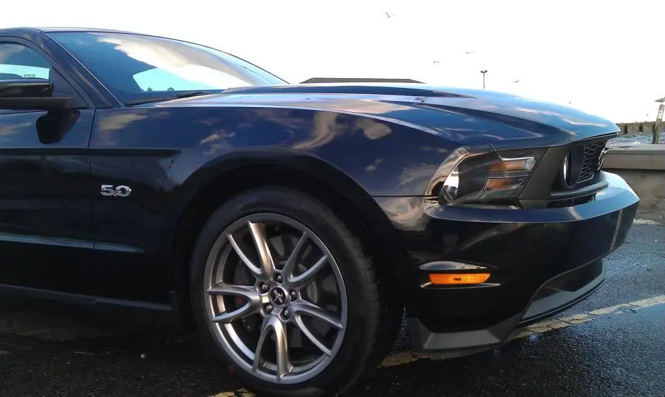 Mustang501.webp