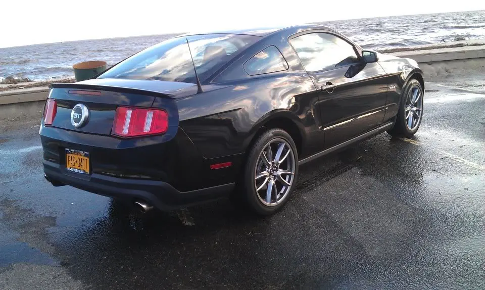 Mustang503.webp