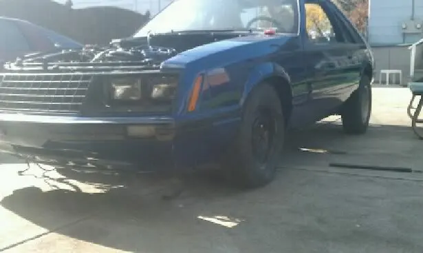mustang51.webp