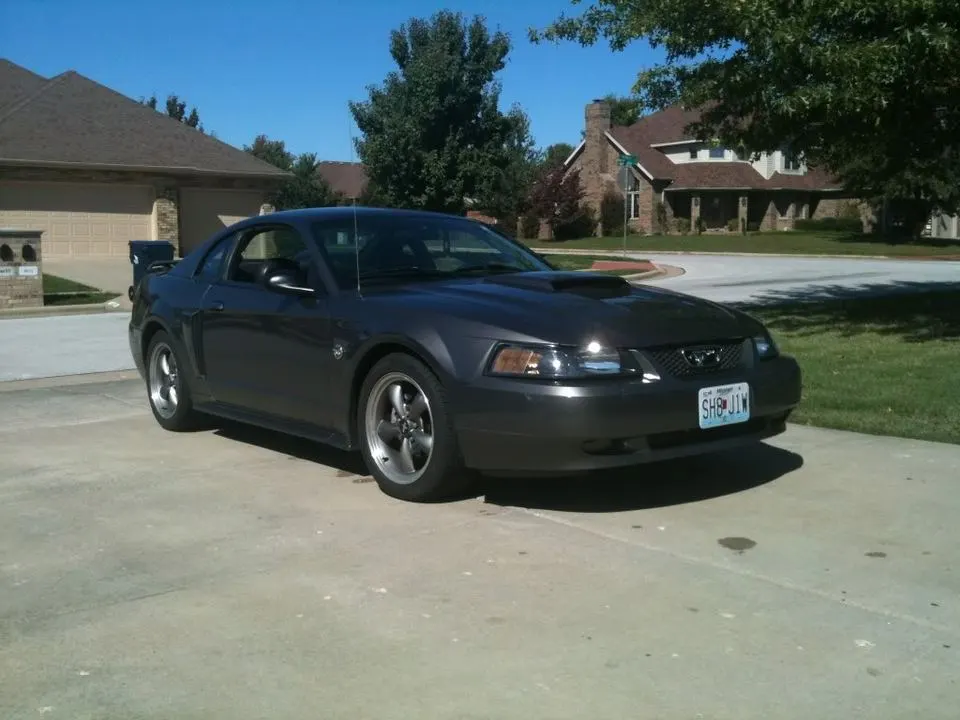 mustang52.webp
