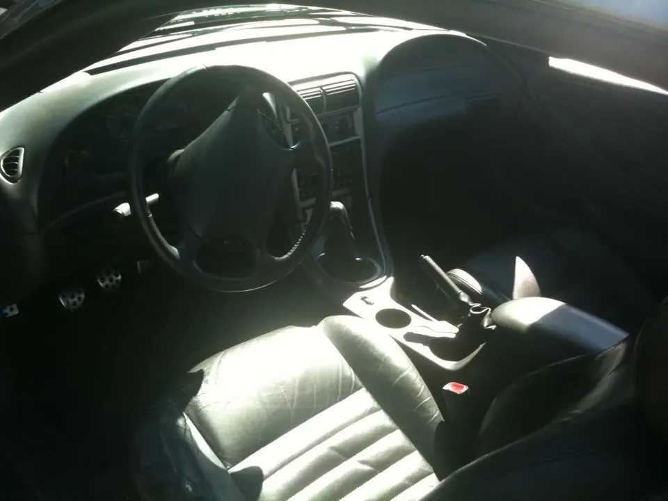 mustang53.webp