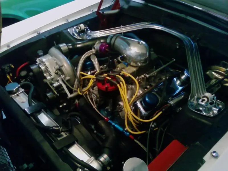 mustang55.webp