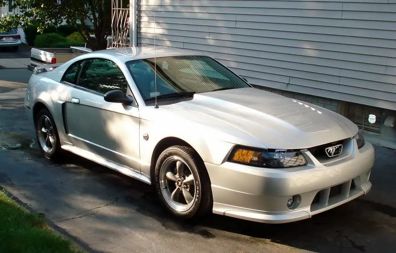 Mustang6-18-07006.webp