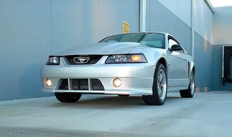 Mustang6-18-07013.webp
