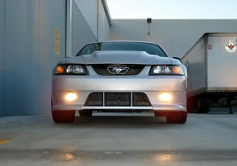 Mustang6-18-07015.webp