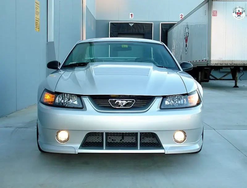 Mustang6-18-07028.webp