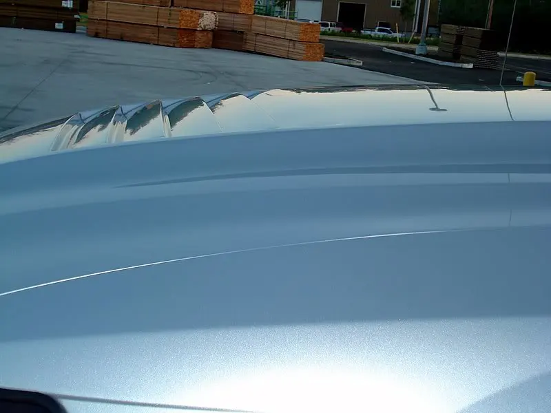 Mustang6-18-07032.webp