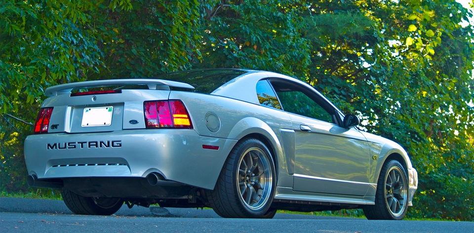 mustang6.webp