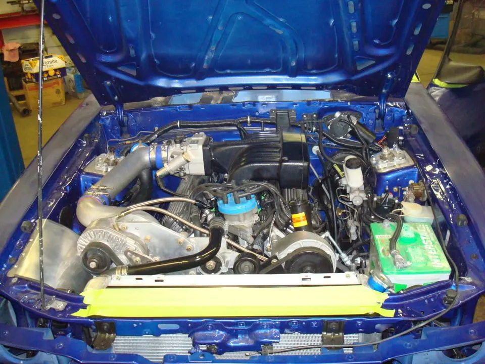 mustang6.webp