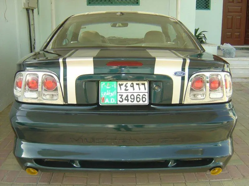 MUSTANG6.webp
