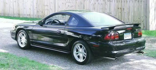 Mustang6.webp