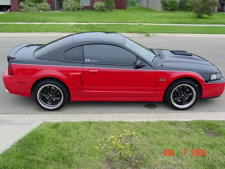 mustang6.webp