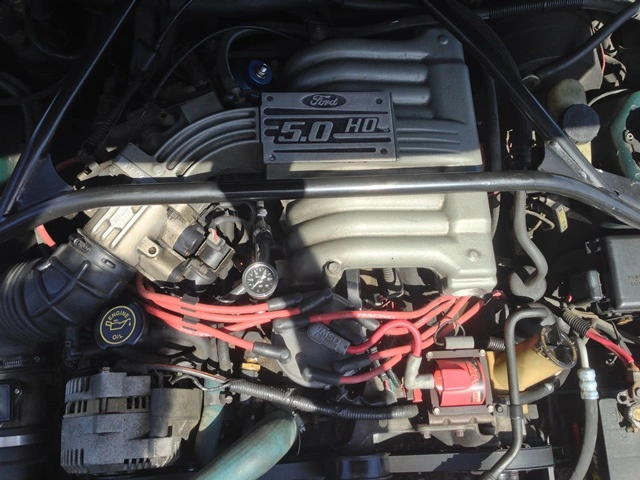 mustang6.webp