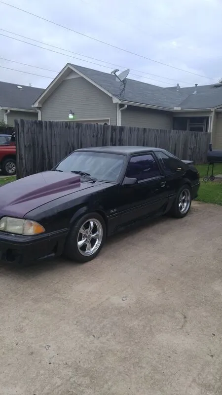 mustang6.webp