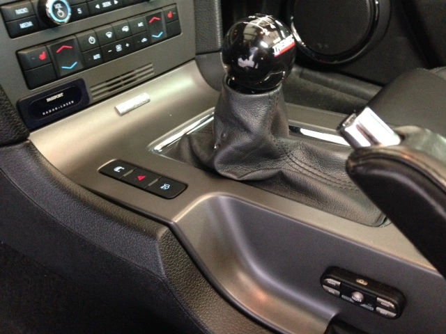 Mustang6.webp
