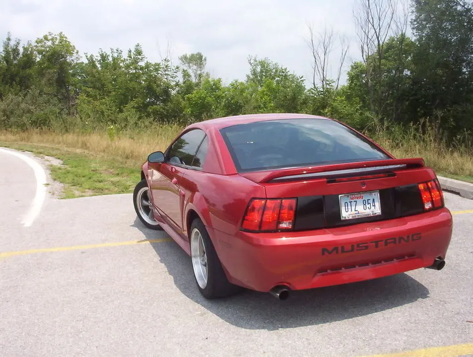 Mustang608.webp