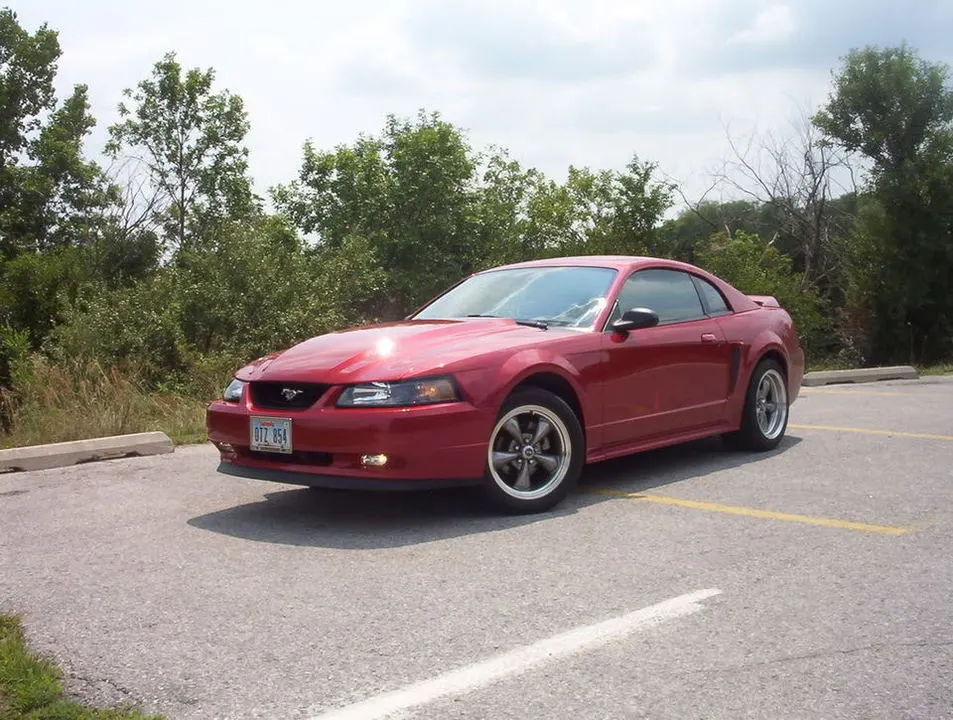 Mustang611.webp