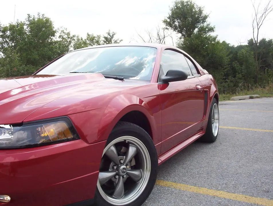 Mustang613.webp