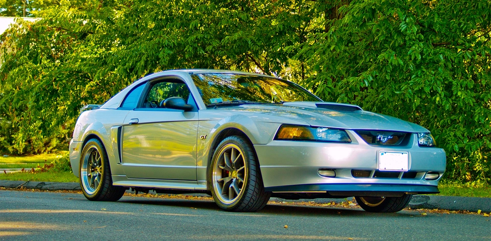 mustang7.webp