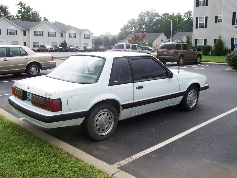 mustang7.webp