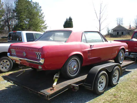 Mustang8.webp