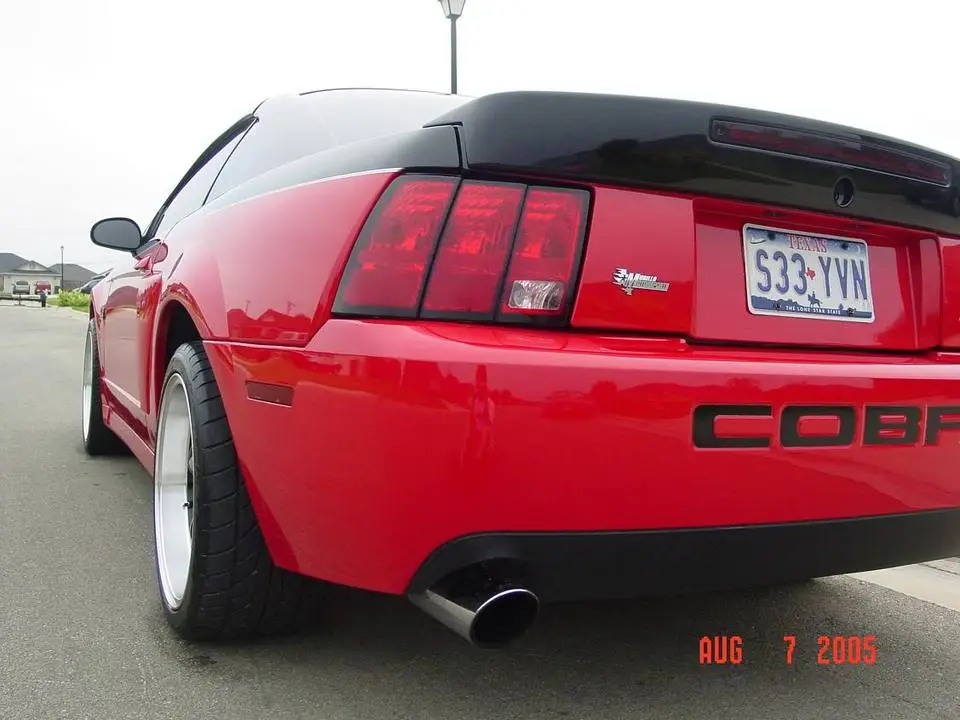 mustang8.webp