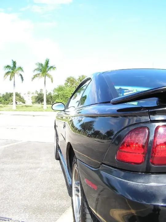 mustang8.webp