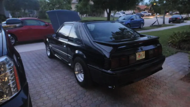 Mustang921.webp