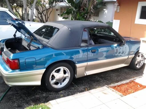 mustang937.webp