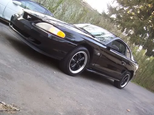 Mustang95new001.webp