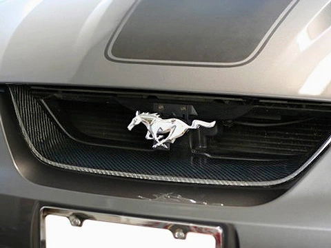 mustang99cfgrillsample3.webp